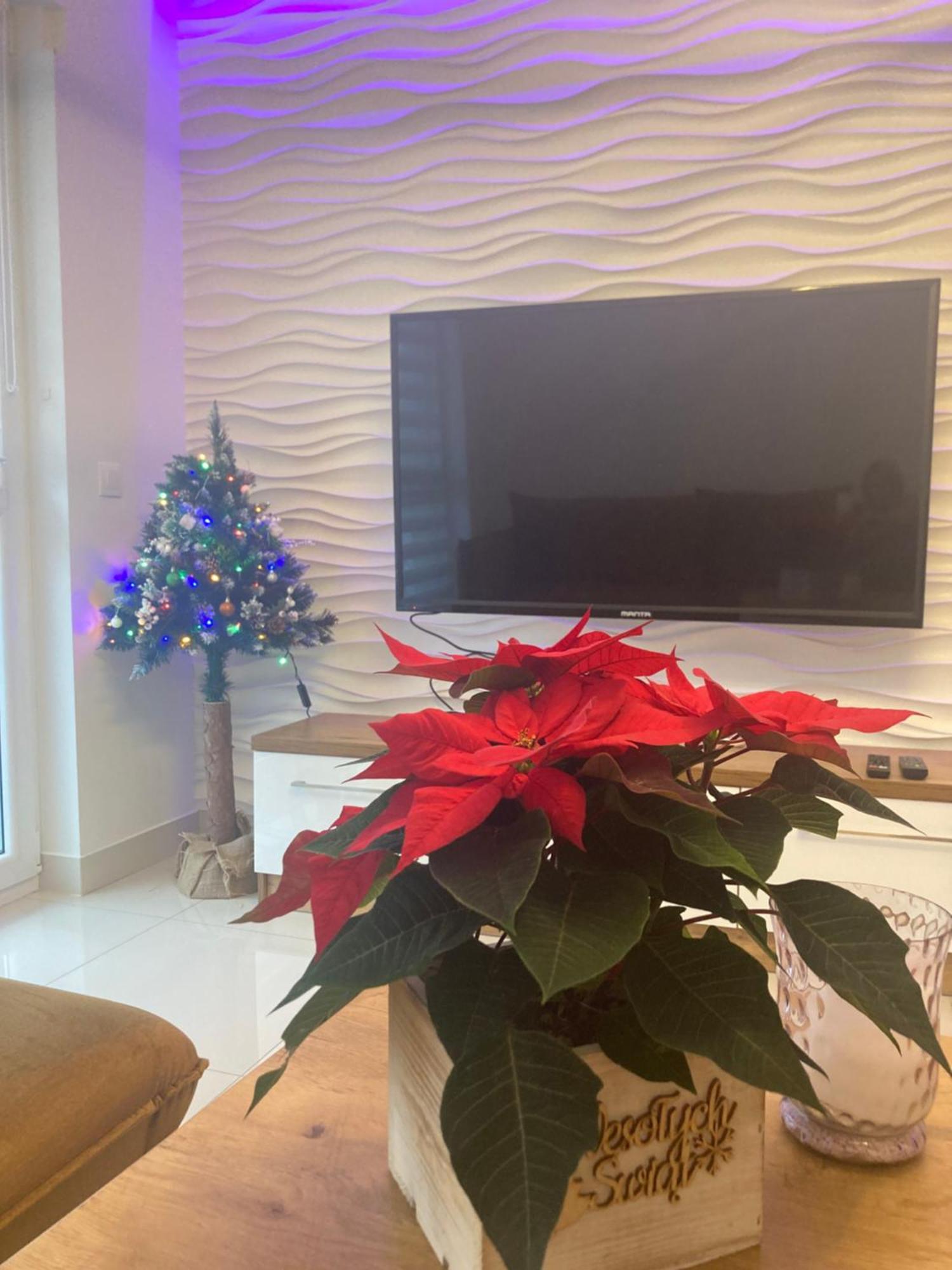 Vip Apartament